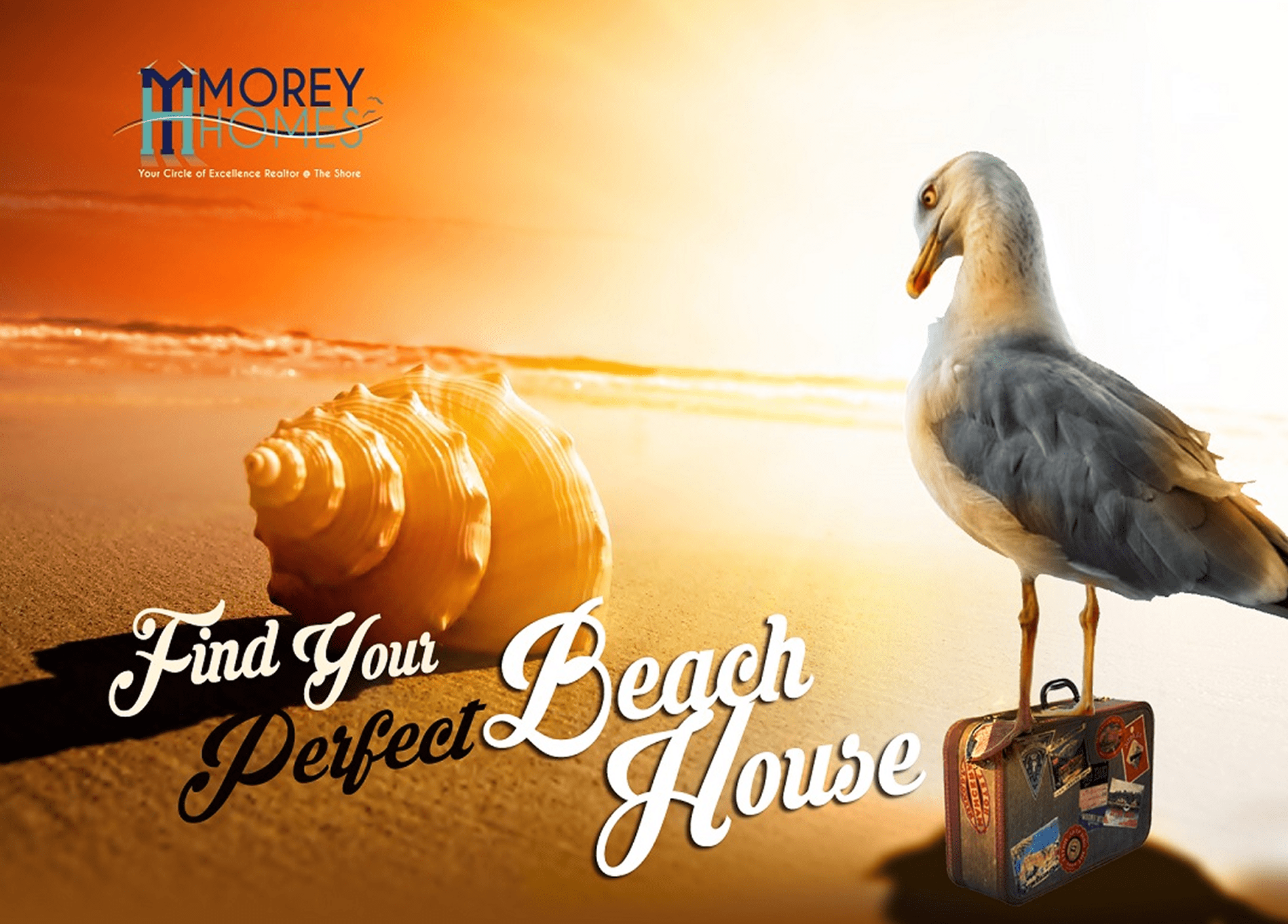 Perfect beach house ad with seagull